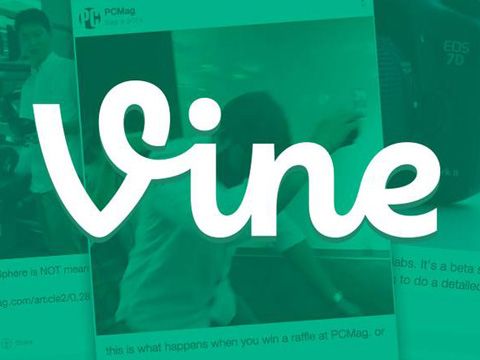 Vì sao Vine chết?