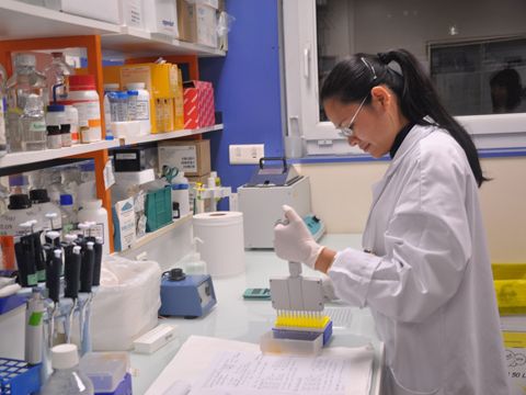 Ngành dược hấp dẫn nhà đầu tư