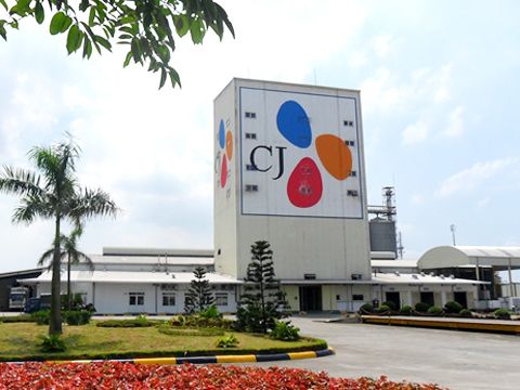 Vì sao CJ đi xây Cầu Tre?