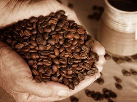 Thị trường cà phê: Bước vào cuộc cạnh tranh mới