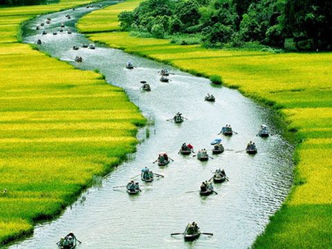 Định vị cho thương hiệu Việt Nam: Bếp ăn của thế giới hay Trái tim Đông Dương