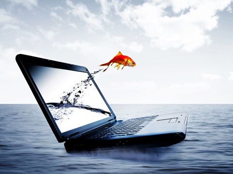Sáng tạo trên môi trường số