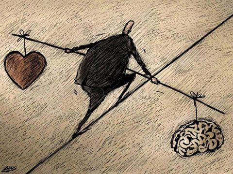 Nửa bên kia của lý trí