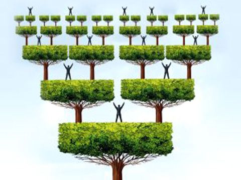 Nhượng quyền thương hiệu: Mô hình chia sẻ thịnh vượng