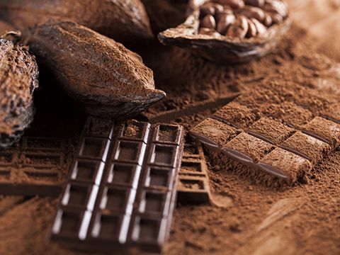 Ý chí chocolate Việt