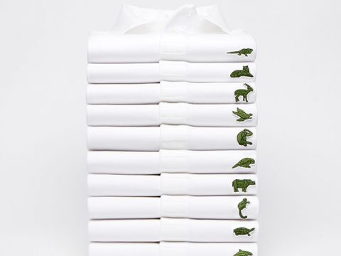 Lacoste thay thế logo cá sấu trên áo polo bằng 10 loài động vật có nguy cơ tuyệt chủng
