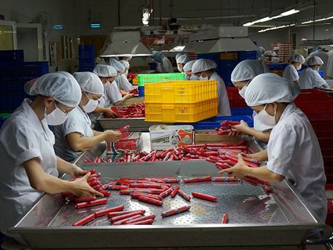 Đấu trường xúc xích
