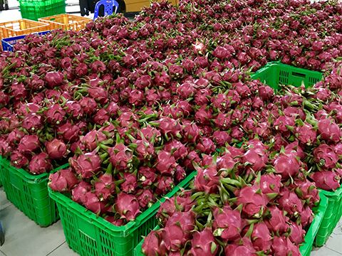 Hàng Việt dè dặt vào Thái