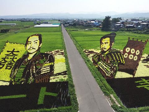 Biến ruộng lúa thành tranh, ngôi làng bị quên lãng Inakadate trở thành điểm du lịch nổi tiếng