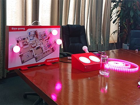 Điện Quang bắt tay FPT sản xuất đèn thông minh