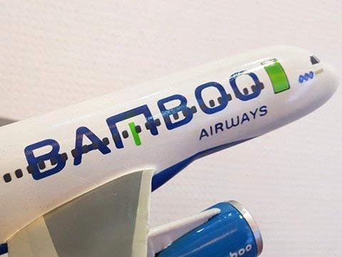 Phó Thủ tướng chỉ đạo về việc lập Hãng hàng không Bamboo Airways