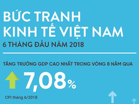 [Infographic] Bức tranh kinh tế 6 tháng đầu năm qua các chỉ số