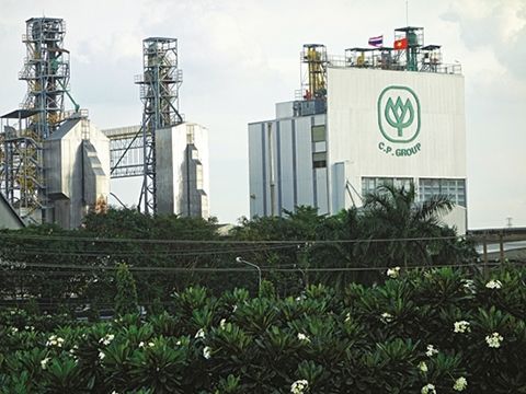 Nhà đầu tư Thái và chiến thuật bao phủ