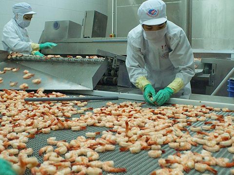 Thái Lan là nhà bếp thế giới, Việt Nam là gì?
