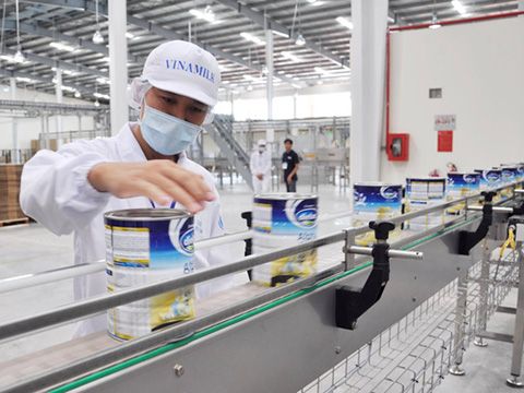 Đua xuất ngoại sữa Việt