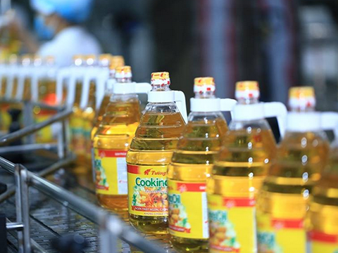 Hoạt động tài chính tăng mạnh, Vocarimex báo lãi quý III tăng gần 14%