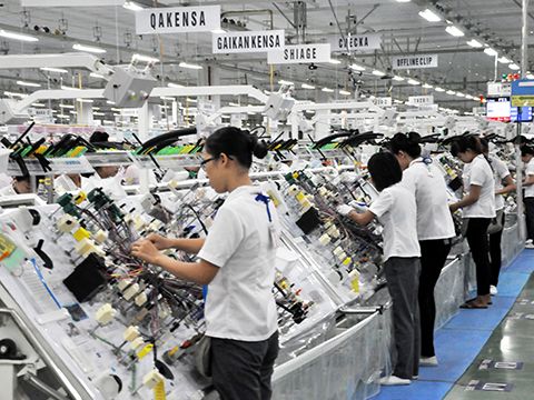 PMI Việt Nam tháng 10 tăng mạnh lên 53,9 điểm, ASEAN lần đầu xuống dưới 50