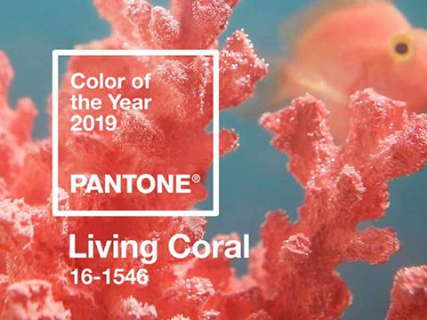 Pantone công bố