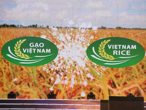 Việt Nam chính thức có thương hiệu gạo quốc gia