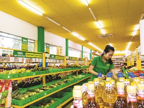 MWG chuẩn bị bơm tiếp 1.000 tỷ đồng cho Bách Hóa Xanh