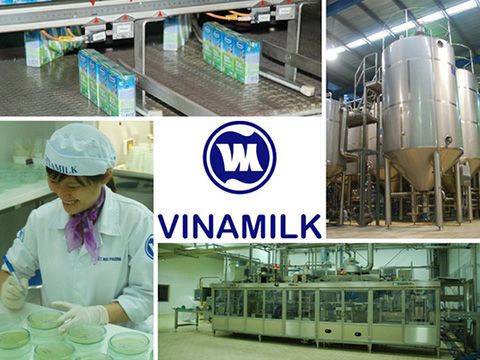 Cuộc chinh phục mới của Vinamilk