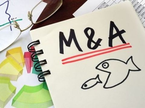 Bứt phá M&A: Tháo nút thắt chính sách