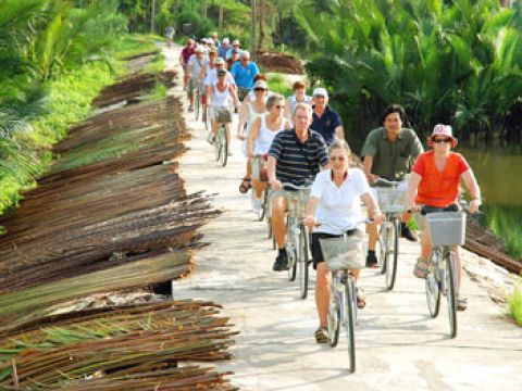 Du lịch Việt thu được bao nhiêu từ du khách trong 8 tháng?