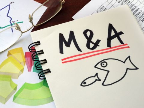 Những thương vụ M&A “đình đám” nhất năm 2019