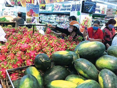 EVFTA buộc doanh nghiệp Việt Nam phải đi theo cuộc chơi mới