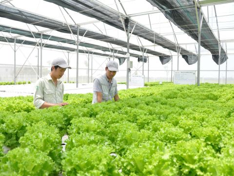 Thời điểm để doanh nghiệp tái cơ cấu, sẵn sàng tăng tốc