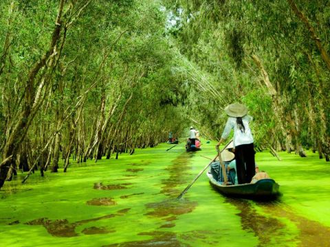 Du lịch chỉ còn trông chờ thị trường nội địa