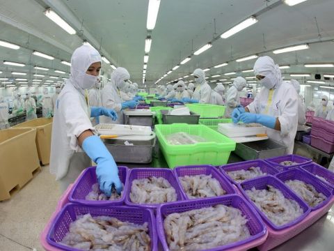 Lợi kép của EVFTA