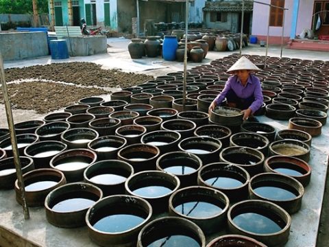 Hội nước mắm Việt Nam đóng góp 70% doanh số toàn ngành