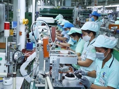 Ảnh hưởng từ dịch bệnh, 85.500 doanh nghiệp phải rút khỏi thị trường