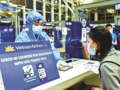 Thích ứng cũ và mới