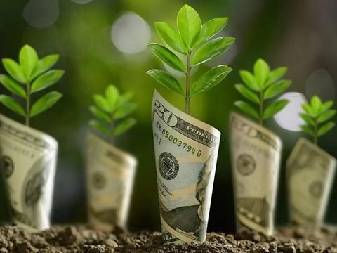 Đầu tư ESG và nguy cơ từ hành vi “tẩy xanh”