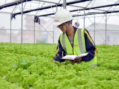 Vì sao hiếm khi nghe các startup nông nghiệp ở Việt Nam gọi được vốn?
