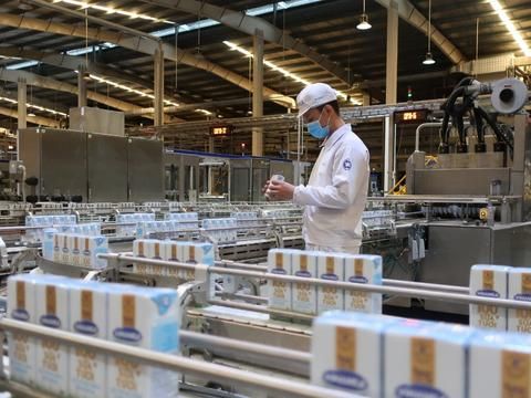Vinamilk: Doanh thu năm 2022 giảm nhẹ so với năm 2021