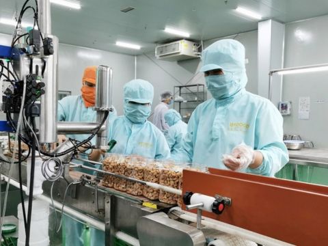 Hơn 12.000 doanh nghiệp được thành lập mới trong tháng 5