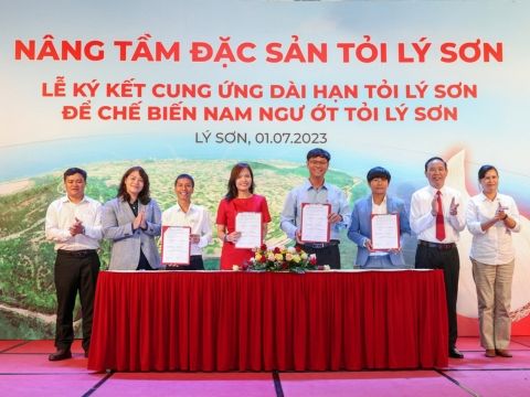 Masan hợp tác mua dài hạn tỏi Lý Sơn