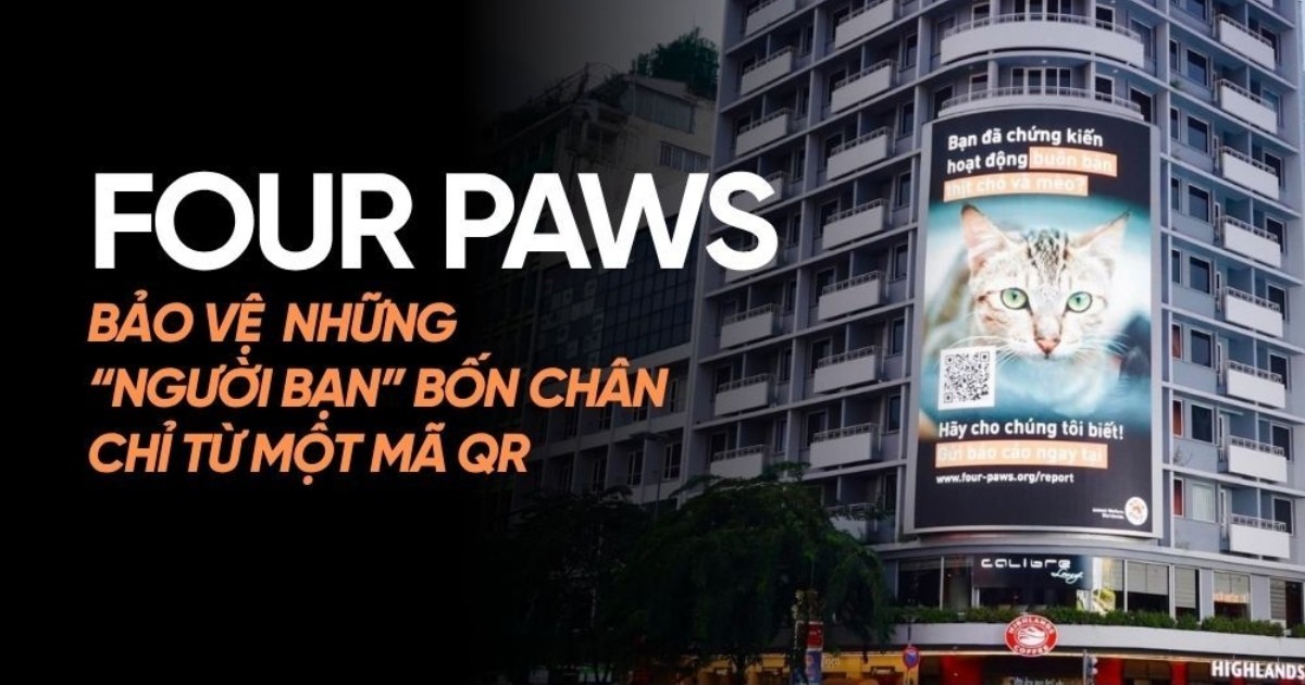 FOUR PAWS Việt Nam: Rút ngắn khoảng cách bảo vệ chó mèo chỉ từ một mã QR