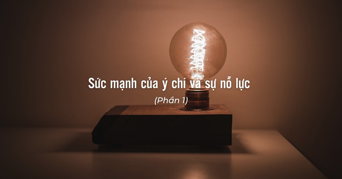 Sức mạnh của ý chí và sự nỗ lực (Phần 1)