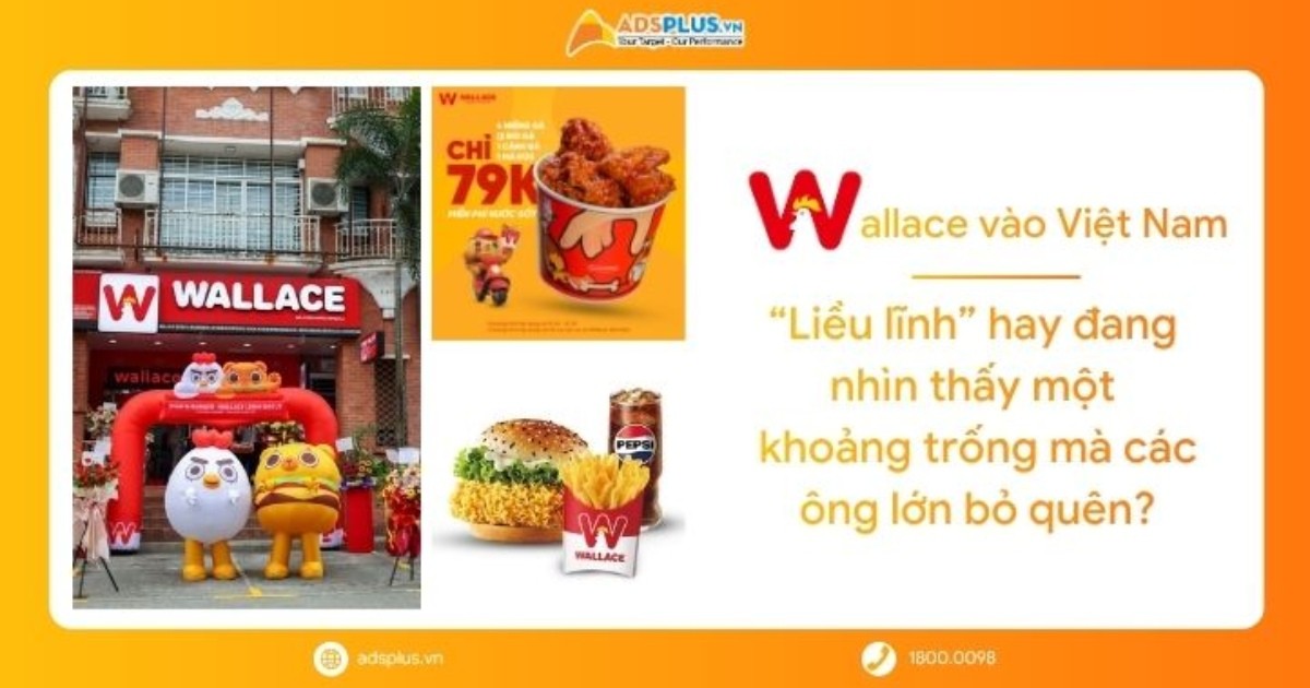 Wallace tại Việt Nam: “Liều lĩnh” hay đang nhìn thấy một khoảng trống mà các ông lớn bỏ quên?