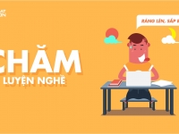 RedCatMotion tuyển After Effect Animation