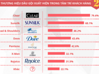 Infographic Thị trường dầu gội 2014