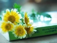 “Tôi thấy hoa vàng trên cỏ xanh” – Một chiến dịch truyền thông thành công