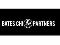 History of Agency #9: Bates CHI Vietnam