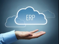 Thuận lợi và khó khăn của ERP với thị trường Việt Nam