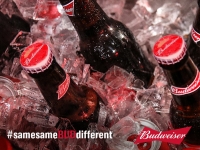 Chiến dịch #Samesamebuddifferent của Budweiser: 7 ngày đạt 2,5 triệu view