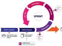 Làm gì mùa dịch: Nâng cấp Web/ App, chuyển dịch Digital Commerce